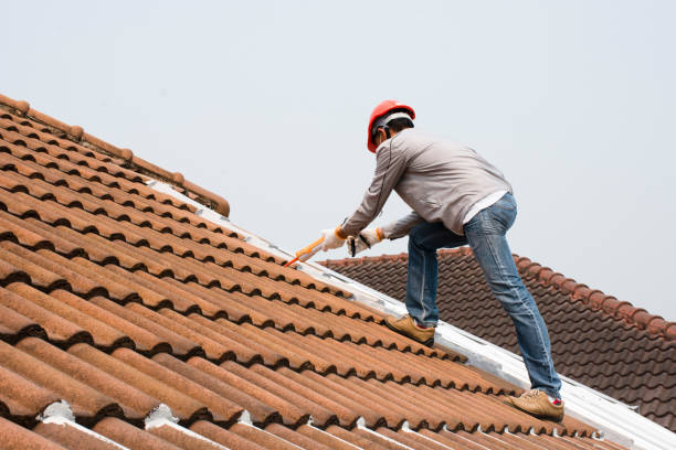 Best Gutter Installation and Repair  in Madisonville, TN