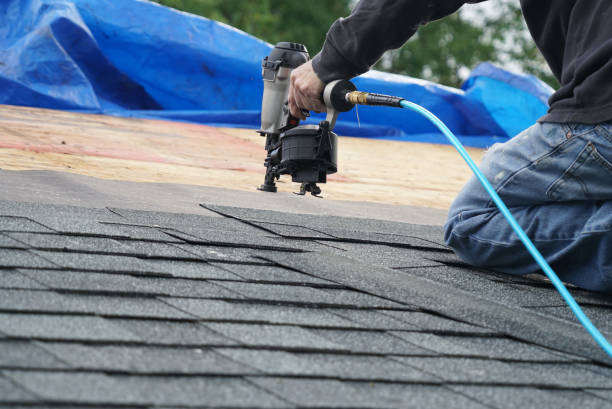 Best Solar Panel Roofing Installation  in Madisonville, TN